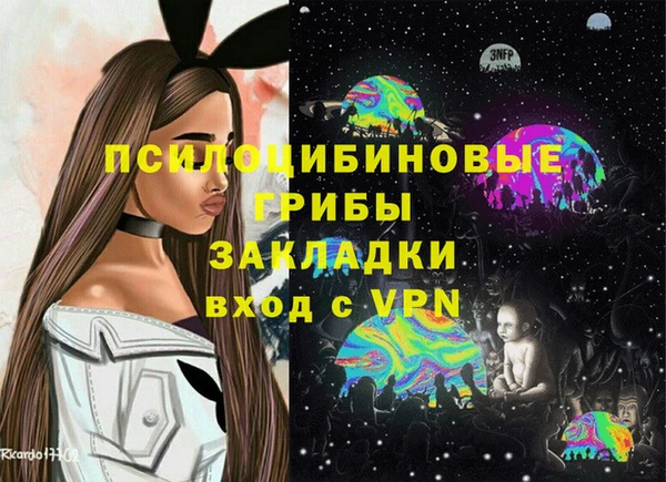 крисы Алексеевка