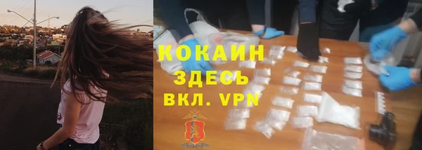 крисы Алексеевка