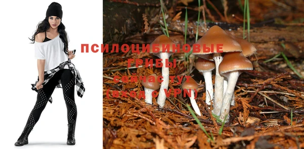 герыч Алзамай
