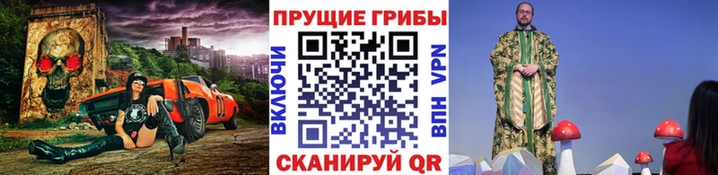 Галлюциногенные грибы Psilocybe  Купить закладки  Боготол 